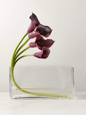 CB2 Ardin Clear Glass Vase long rectangular for wedding home decor or event